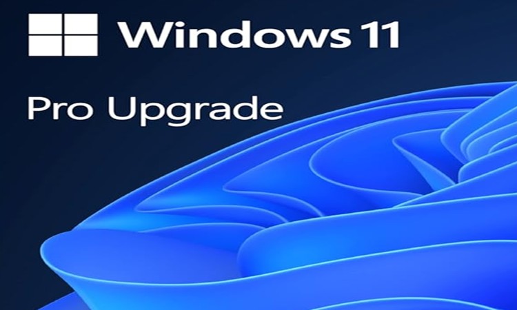 Upgrading to Windows 11 Pro: Benefits and&nbsp;Features